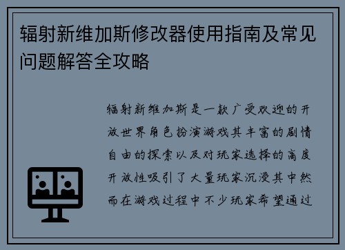 辐射新维加斯修改器使用指南及常见问题解答全攻略